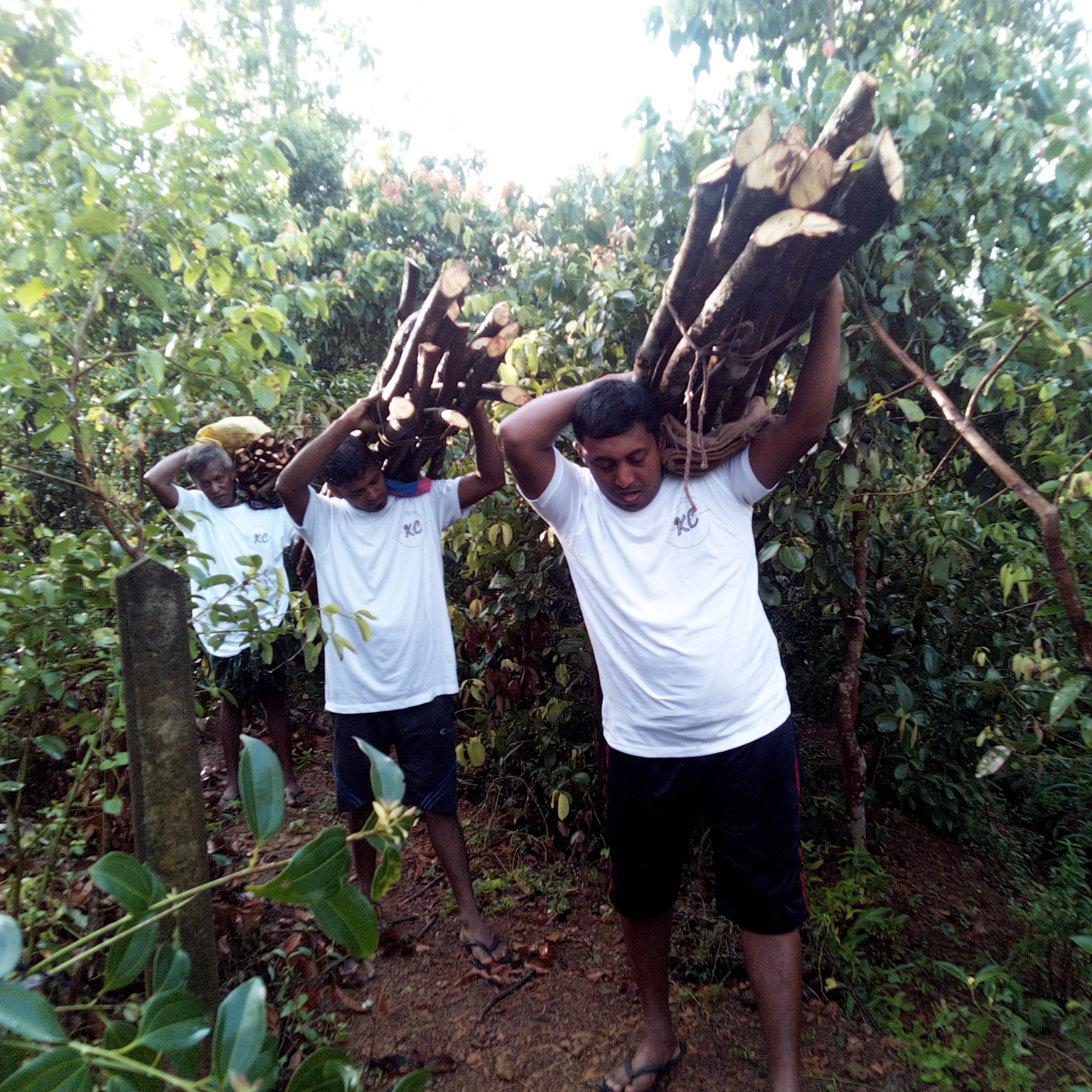 මාතෘකා රහිත නිර්මාණය (79)